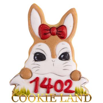 خرگوش1402 مدل 2