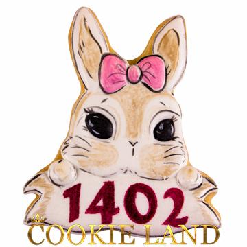 خرگوش1402 مدل 1