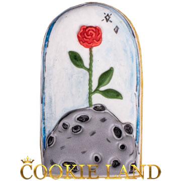 گل سرخ روی قاب
