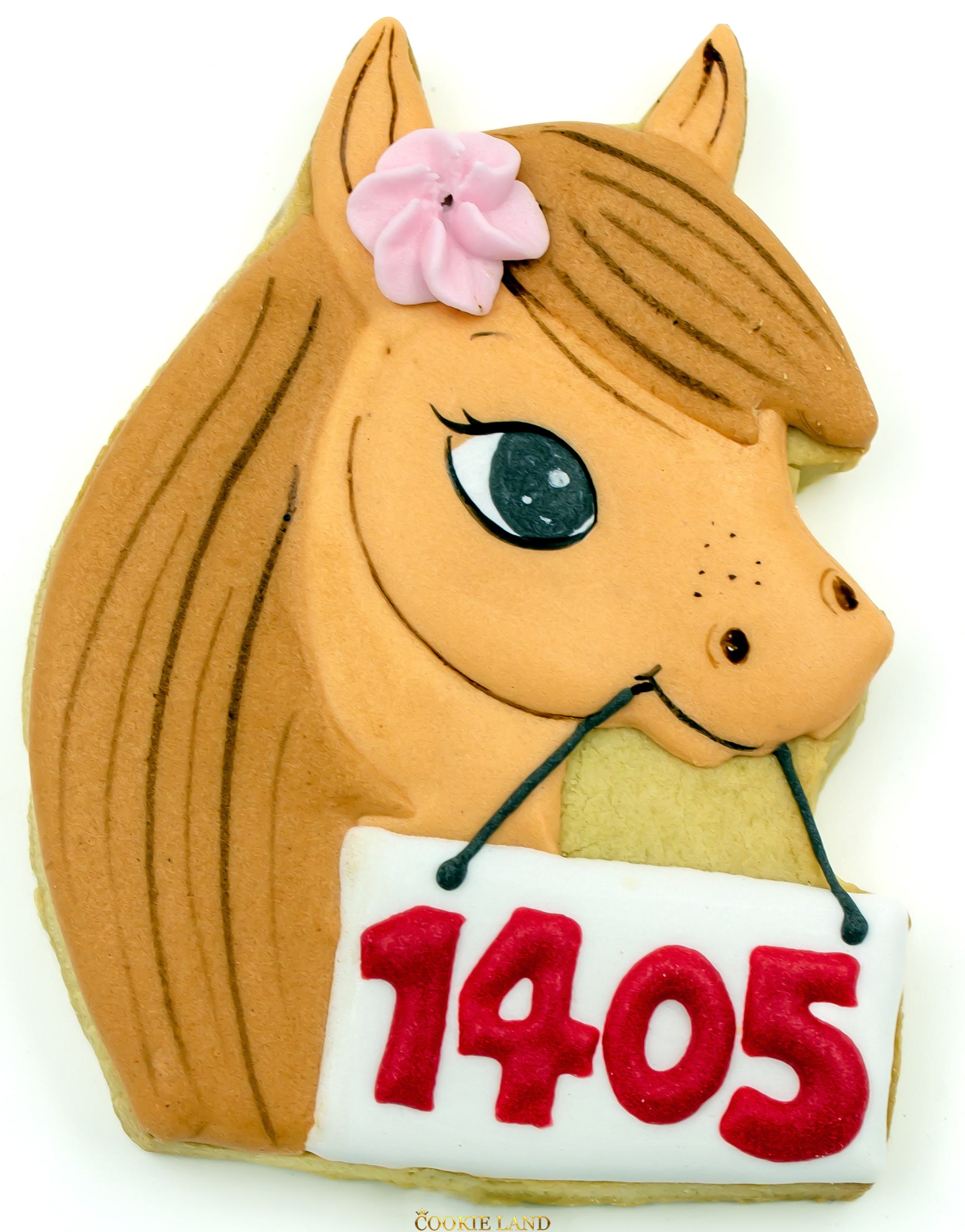 اسب نوروزی1405